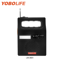 LM-3601