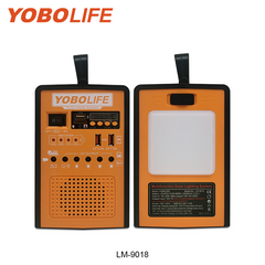 LM-9018